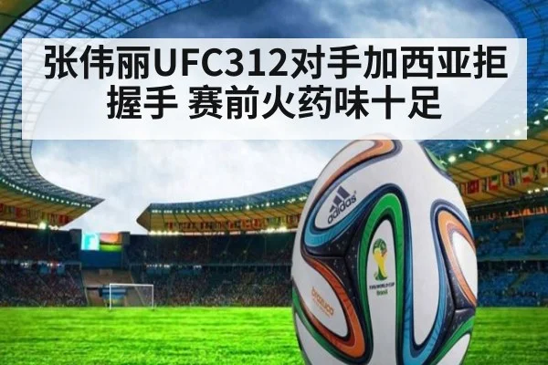 张伟丽UFC312对手加西亚拒握手 赛前火药味十足