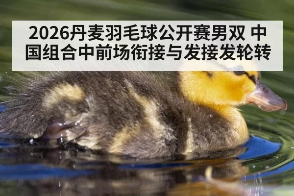 2026丹麦羽毛球公开赛男双 中国组合中前场衔接与发接发轮转